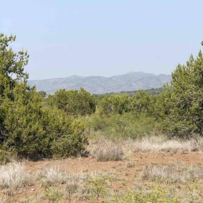 Cottonwood Creek Cabins - Alpine, Tx Exterior foto