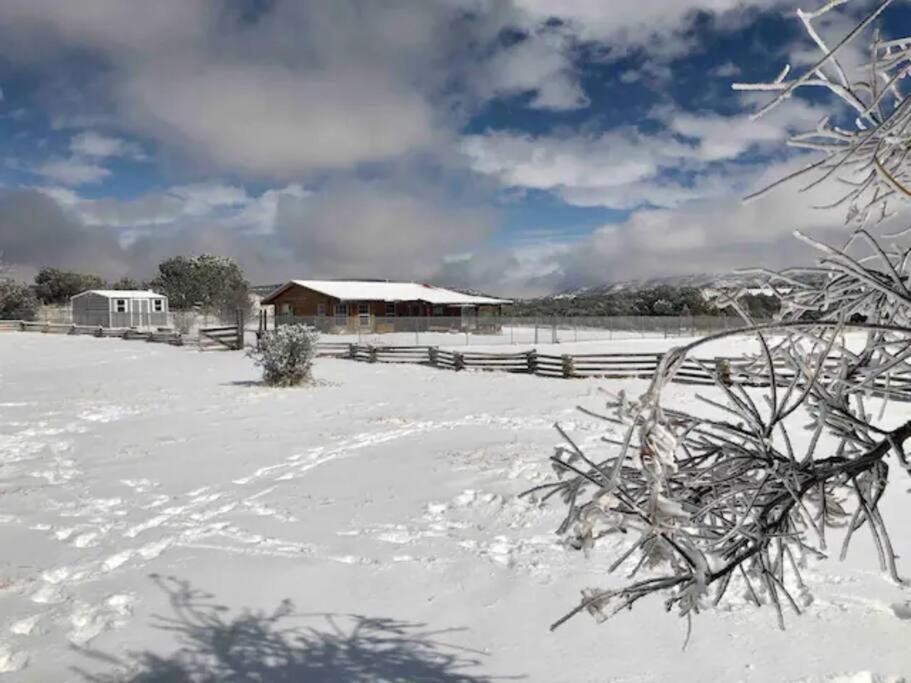 Cottonwood Creek Cabins - Alpine, Tx Exterior foto